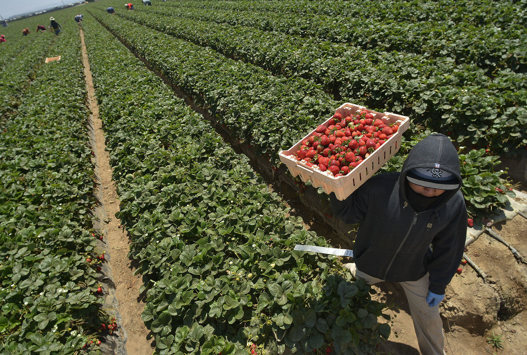 Photos: The beauty of living on the Central Coast